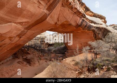 UT00560-00...UTAH - Kachina Bridge in Natural Bridges National Monument. Stockfoto