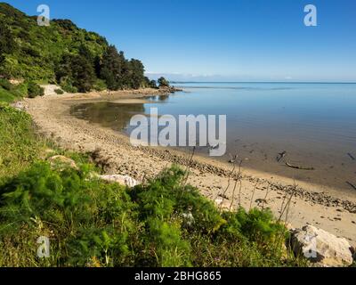 Wainui Bay ist eine kleine Bucht der Golden Bay, in der Nähe des Abel Tasman National Park, South Island, Neuseeland Stockfoto