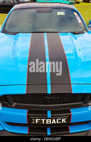 Automobile / American Made 2018 Fastback Ford Mustang auf einer Automobilausstellung in Melbourne Victoria Australien ausgestellt. Stockfoto