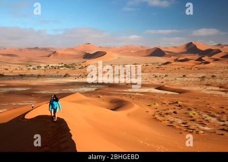 Menschen klettern Sanddünen neben Deadvlei, in der Nähe von Sossusvlei, Namib-Naukluft National Park, Namibia, Afrika Stockfoto