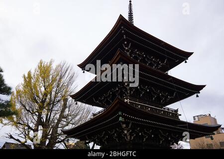 Hida Kokubunji Tempel wurde 746, mehr als 1200 Jahre, gebaut, wie der riesige Ginko-Baum dahinter. Das Gebäude ist das älteste Gebäude. Stockfoto