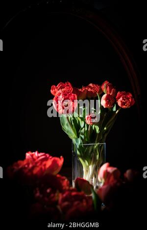 Stillleben von Tulpen in einer Vase vor einem Spiegel. Stockfoto