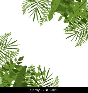 Quadratischer Rahmen mit tropischen Blättern. Hintergrund mit grünen Blättern Palme, Monstera, Nahaufnahme. Botanische Dekoration Vorlage Text Banner für jedes Design, Hochzeit Einladung Karte. Isoliert auf weißen Vektor-Illustration Stock Vektor