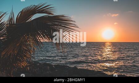 Extrem schöner Sonnenuntergang über dem Meer mit Palmen am Steinstrand in Vintage-Ton Stockfoto