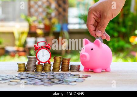 Schwein Sparschwein und Münzen und Uhr auf der Natur verschwimmen Hintergrund. Spargeld Konzept. Stockfoto