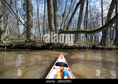 Kajakfahren auf dem Pikkalanjoki Fluss, Siuntio, Finnland Stockfoto