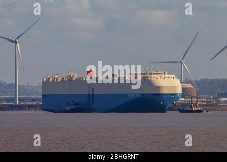 Elegantes Ace wartet auf den Eingang in Portbury Docks Stockfoto