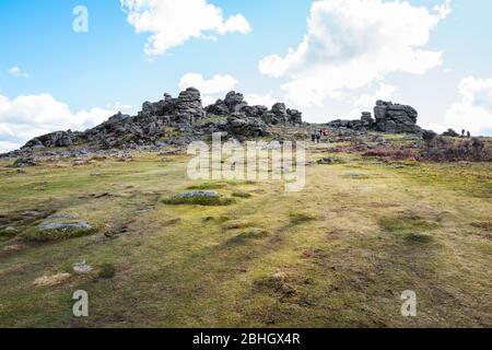 Das unverwechselbare Profil von Hound Tor, angeblich ähneln eine Rudel von Hunden in Stein gedreht, Dartmoor National Park, Devon, England, Großbritannien. Stockfoto