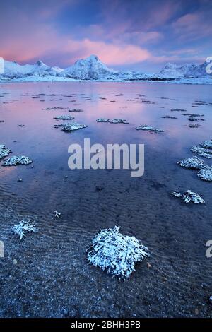 Morgendämmerung am Osensee bei Svolvaer auf den Lofoten-Inseln, Norwegen. Stockfoto