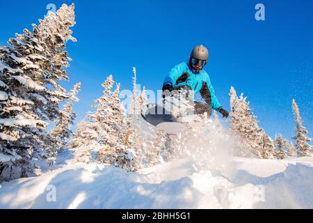 Snowboarder springen mit tiefblauem Himmel im Hintergrund durch die Luft, Freeride Winterwald Stockfoto