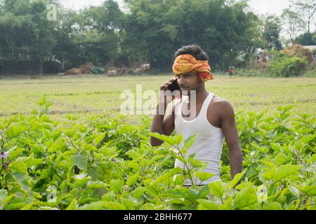 Inder in einem Feld am Telefon sprechen Stockfoto