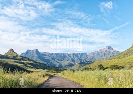 Blick auf das Amphitheater im Drakensberg von der Straße nach Thendele Stockfoto