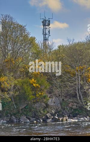 HANDYTURM ODER MAST IN DER NÄHE EINES FLUSSES MIT GELBEN GINSTER-BLUMEN Stockfoto