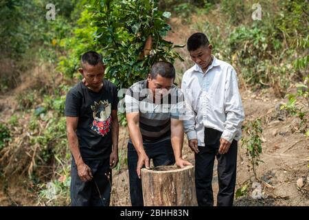 (200426) -- MENGHAI, 26. April 2020 (Xinhua) -- Luo Zhihua (C), ein Beamter zur Armutsbekämpfung, weist die Dorfbewohner in der Bienenhaltung im Weiler Manbansandui im Dorf Mannan im Landkreis Menghai, südwestlich der Provinz Yunnan, am 12. April 2020 an. Weit entfernt in den Bergen des südwestlichen Chinas Yunnan liegt der ehemalige Ort des von Armut geplagten Manbansandui Weilers, wo 17 Haushalte der ethnischen Gruppe Lahu lebten. Im Hinblick auf die Lebensgewohnheiten und Bräuche der Dorfbewohner wurde das Dorf 2009 in ein neues Gebiet an seinen ursprünglichen Standort verlegt, um das Leben der Dorfbewohner zu verbessern Stockfoto