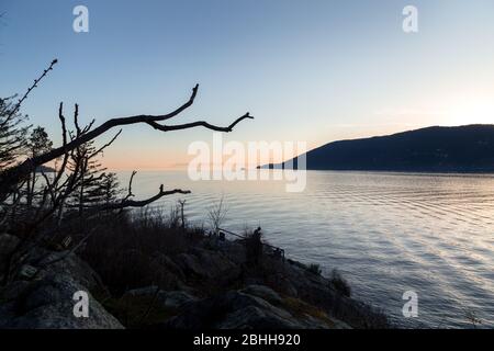 BC Fähre, die durch Howe Sound bei Sonnenuntergang fährt, vom Whytecliff Park aus gesehen. Stockfoto