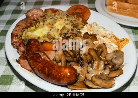 Englisches Frühstück mit Würstchen, gegrillte Tomaten, Pilze, Eier, Speck, Bohnen und Brot. Stockfoto