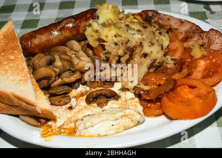 Englisches Frühstück mit Würstchen, gegrillte Tomaten, Pilze, Eier, Speck, Bohnen und Brot. Stockfoto