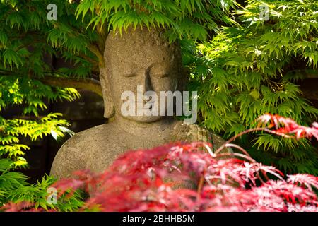 Buddha Statue zwischen roten und grünen Hektar Bäumen in einem Garten an einem sonnigen Tag, geschnitzt aus einem Fluss Kieselstein. Hergestellt in Indonesien zum Verkauf in Bali. Stockfoto