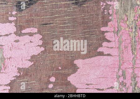 Fragment der alten Holzplatte mit abblätternder rosa Farbe auf der Oberfläche und kleine Risse mit trockenem Flusssand verstopft Nahaufnahme. Grunge Textur Hintergrund für yo Stockfoto