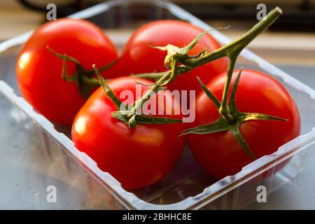 Tomaten reifen auf einer Fensterbank Stockfoto