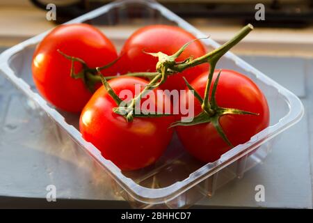 Tomaten reifen auf einer Fensterbank Stockfoto