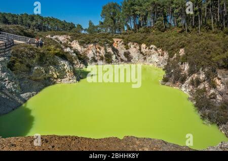 Roto Karikitea, Krater, Wasser aus dem Champagne Pool, Wai-O-Tapu Thermal Wonderland, Taupo Volcanic Zone, Waikato Region, Nordinsel, Neuseeland Stockfoto