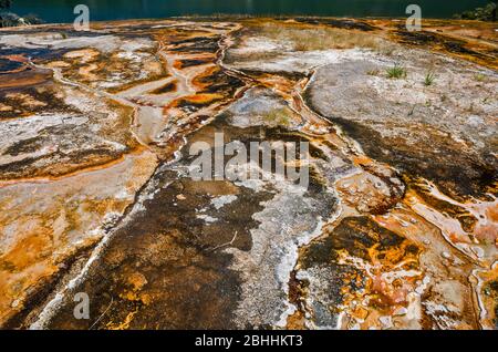 Mikrobielle Matten aka Luftmatten auf der Emerald Terrace (Sinterterrasse), Orakei Korako Thermal Park, Taupo Volcanic Zone, North Island, Neuseeland Stockfoto