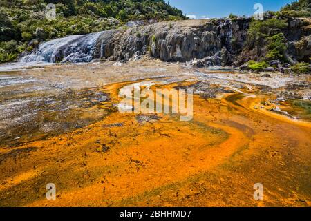 Mikrobielle Matten, auch bekannt als Luftmattenmatten in Te Kapua, Golden Fleece Terrace, Orakei Korako Thermal Park, Taupo Volcanic Zone, North Island, Neuseeland Stockfoto