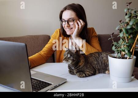 Remote-Arbeit. Das Mädchen sitzt am Computer und schaut auf den Bildschirm. Neben mir sitzt eine Katze mit Tabby. Stockfoto