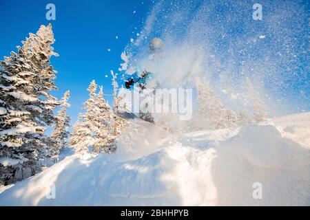 Snowboarder springt im frischen Schnee Wald. Freeride Snowboarding im Skigebiet Stockfoto