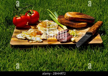 Eye Eier in einer Pfanne mit frischen und saftigen roten Tomaten, frische und grüne Zwiebel gebraten , gebackenes Brot, hausgemachte Bio, Bio-Wurst auf b Stockfoto