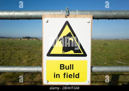 Nahaufnahme eines gelben und schwarzen Warnzeichens wegen eines Bullen im Feld, Kent England. Stockfoto