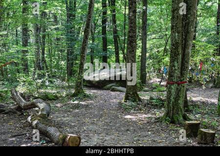 Dolmen in Shapsug. Wald in der Stadt in der Nähe des Dorfes Shapsugskaya, sind die Sehenswürdigkeiten Dolmen und Ruinen der alten Zivilisation. Stockfoto