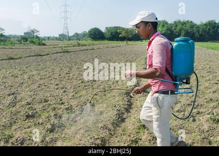 Indischen Bauern Sprühen von Pestiziden auf Ernte Stockfoto