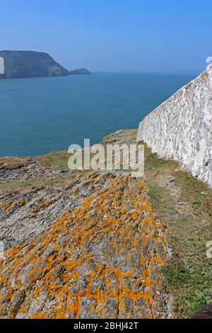 Blick von der Landzunge North Stack in Richtung Leuchtturm in Anglesey, Wales Stockfoto