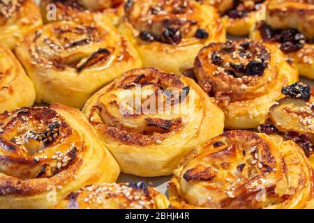 Blätterteig süße Brötchen mit Cranberries und Sesam, frisch gebacken, selektiver Fokus Stockfoto