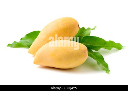 Köstliche zwei reife gelbe Mango mit grünen Blatt isoliert auf weißem Hintergrund. Sommerfrüchte in Thailand Stockfoto