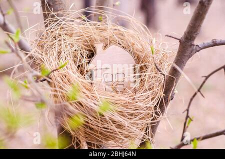 Modell eines Hauses in einem Nest auf einem Baum. Kauf von Immobilien, Ihr eigenes Zuhause. Das Konzept eines Familiennests, eines gemütlichen Hauses und eines sicheren Eigentums. Stockfoto