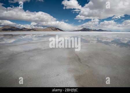 Bonneville Salt Flats nach einem Regensturm. Spiegelungen von Himmel und Wolken spiegeln sich auf dem flachen Salt playa nahe dem Bonneville Speedway. Utah, USA. Stockfoto