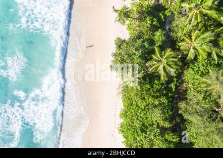 Seychellen Takamaka Strand Mahe Insel Copyspace symbolische Bild Natur Urlaub Drohne Ansicht Luftbild Landschaft Stockfoto