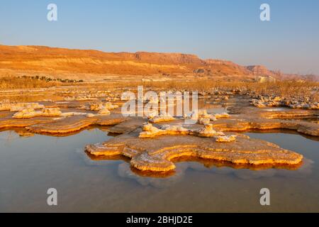 Sonnenaufgang am Toten Meer Israel Wüste Landschaft Morgendämmerung Landschaft Salz Morgen Natur Reise Stockfoto