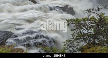 Glatte lange Belichtung von Kaskaden Rennen über Felsen an der Spitze eines Wasserfalls von Felsen und einer kleinen Kiefer eingerahmt. Stockfoto