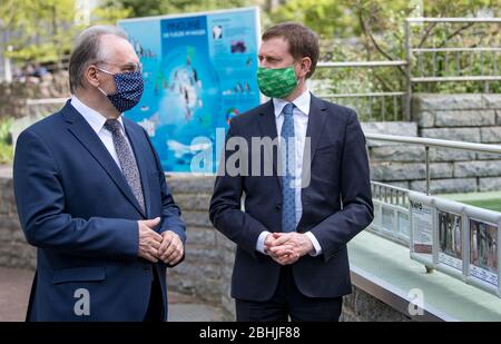 26. April 2020, Sachsen-Anhalt, Halle (Saale): Reiner Haseloff (CDU, l.), Ministerpräsident von Sachsen-Anhalt, und Michael Kretschmer (CDU), Ministerpräsident von Sachsen, sprechen vor dem Pinguingehege nach einer Pressekonferenz im Bergzoo Halle/Saale. Zuvor hatten die beiden Regierungschefs die weitere Vorgehensweise im Umgang mit der Corona-Pandemie diskutiert. Die beiden Regierungschefs hatten zuvor über die weitere Vorgehensweise im Umgang mit der Corona-Pandemie diskutiert und gesagt, sie würden gemeinsam abwägen, welche weiteren Lockerung- und Öffnungsoptionen denkbar wären Stockfoto