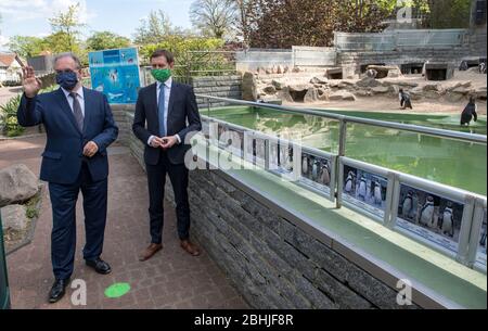 26. April 2020, Sachsen-Anhalt, Halle (Saale): Reiner Haseloff (CDU, l.), Ministerpräsident von Sachsen-Anhalt, und Michael Kretschmer (CDU), Ministerpräsident von Sachsen, sprechen vor dem Pinguingehege nach einer Pressekonferenz im Bergzoo Halle/Saale. Zuvor hatten die beiden Regierungschefs die weitere Vorgehensweise im Umgang mit der Corona-Pandemie diskutiert. Die beiden Regierungschefs hatten zuvor über die weitere Vorgehensweise im Umgang mit der Corona-Pandemie diskutiert und gesagt, sie würden gemeinsam abwägen, welche weiteren Lockerung- und Öffnungsoptionen denkbar wären Stockfoto