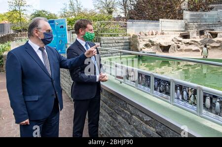 26. April 2020, Sachsen-Anhalt, Halle (Saale): Reiner Haseloff (CDU, l.), Ministerpräsident von Sachsen-Anhalt, und Michael Kretschmer (CDU), Ministerpräsident von Sachsen, sprechen vor dem Pinguingehege nach einer Pressekonferenz im Bergzoo Halle/Saale. Zuvor hatten die beiden Regierungschefs die weitere Vorgehensweise im Umgang mit der Corona-Pandemie diskutiert. Die beiden Regierungschefs hatten zuvor über die weitere Vorgehensweise im Umgang mit der Corona-Pandemie diskutiert und gesagt, sie würden gemeinsam abwägen, welche weiteren Lockerung- und Öffnungsoptionen denkbar wären Stockfoto