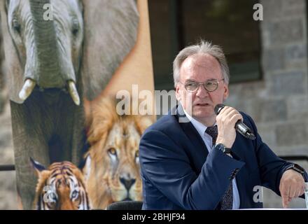 26. April 2020, Sachsen-Anhalt, Halle (Saale): Reiner Haseloff (CDU), Ministerpräsident von Sachsen-Anhalt, spricht bei einer Pressekonferenz im Bergzoo Halle/Saale vor einem Plakat mit Elefanten, Löwen und Tiger. Die beiden Regierungschefs von Sachsen und Sachsen-Anhalt hatten zuvor über die weitere Vorgehensweise im Umgang mit der Corona-Pandemie diskutiert. Gemeinsam sollten sie abwägen, welche weiteren Lockerung- und Öffnungsmöglichkeiten denkbar sind und wie das Risiko angesichts der aktuellen Infektionssituation bewertet werden sollte. Foto: Hendrik Schmidt/dpa-Zentralbild/dpa Stockfoto