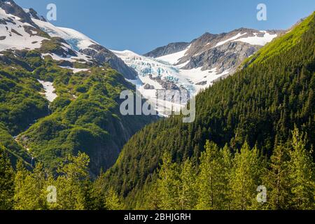 Byron Gletscher in Portage Tal, Alaska, USA Stockfoto