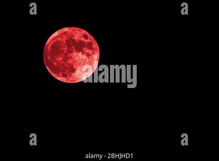 Roter blutiger Mond am schwarzen Himmel als Hintergrund, Vollmond Stockfoto