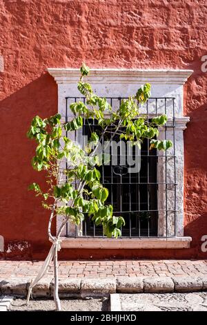 La Casa del Moral (1730), Stadt Arequipa, Peru, Südamerika. Stockfoto