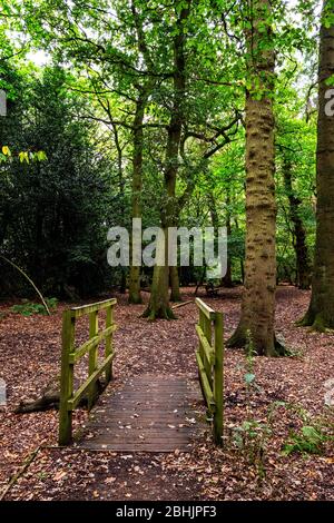 Fußgängerbrücke zum Greenway Forest in Crewe Cheshire UK Stockfoto